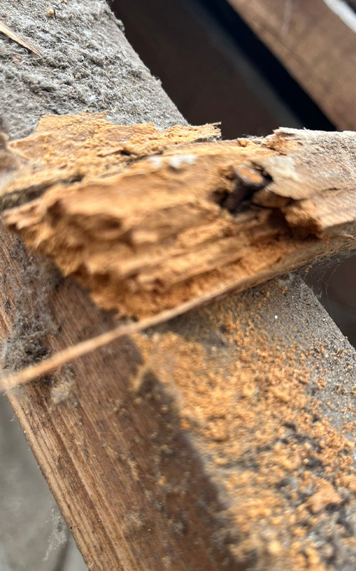 Des artisans qualifiés pour la construction, la rénovation et le traitement de votre charpente au Vésinet (78110) dans les  Yvelines